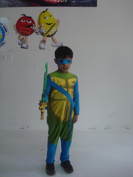 fancy dress 036.jpg